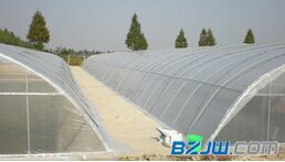 【邯鄲銷量好的農用薄膜推薦:農用薄膜代理加盟】_邯鄲銷量好的農用薄膜推薦:農用薄膜代理加盟價格_邯鄲銷量好的農用薄膜推薦:農用薄膜代理加盟廠家-到中華標準件網